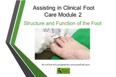 foot_care_assistants_mod_2